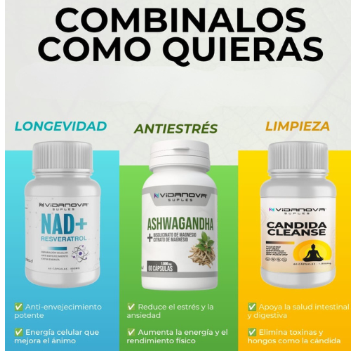 Foto1_Nuevo