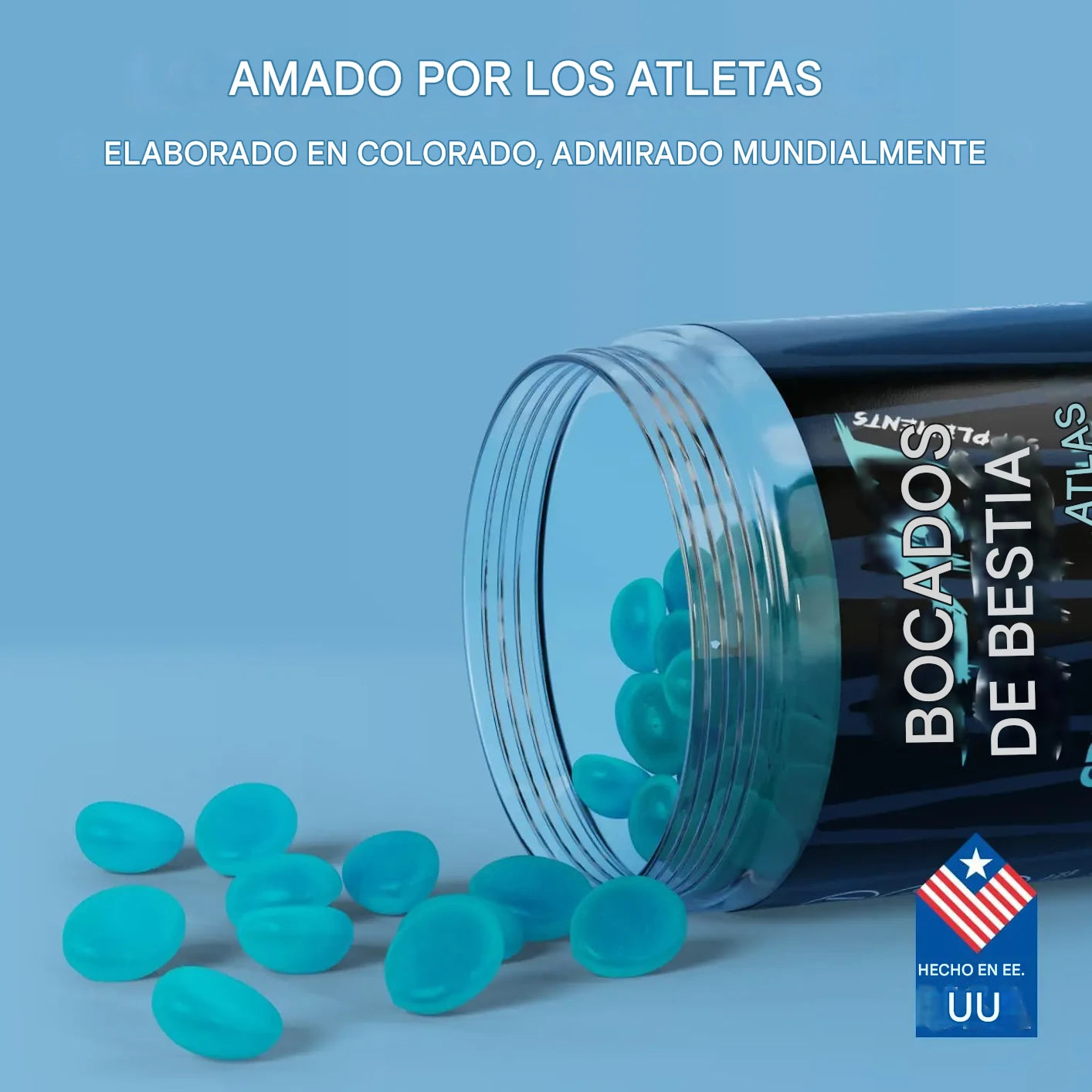 foto4_nueva